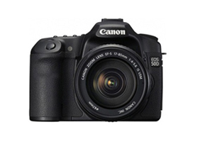Canon 카메라(1대)