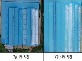 하우스 차광제 살포